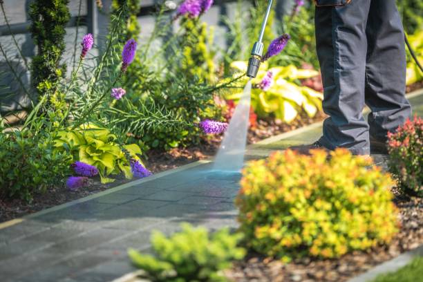 Reliable Allentown, NJ Pressure Washing Services Solutions